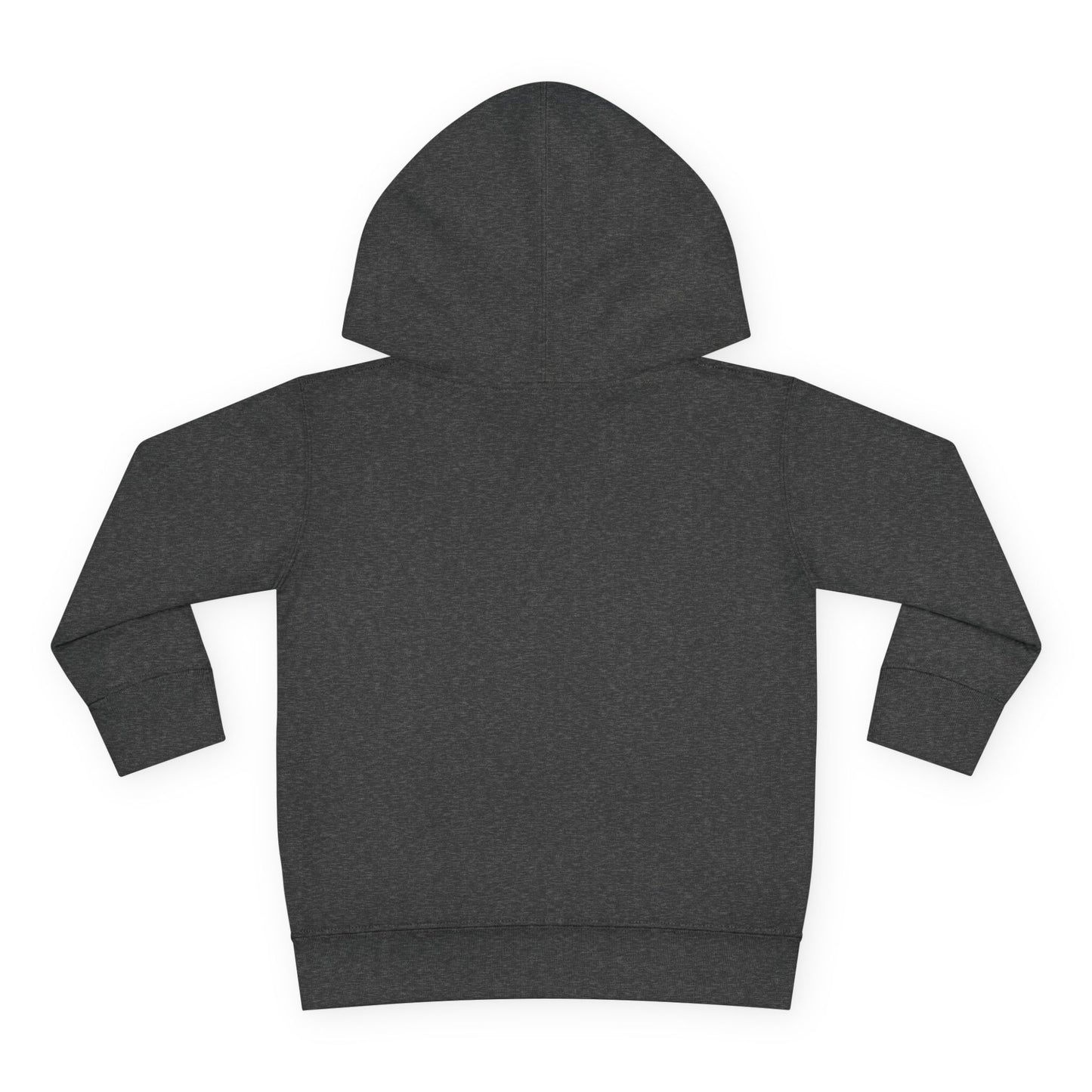 “Little Light, Big Shine” Luxe Toddler Hoodie