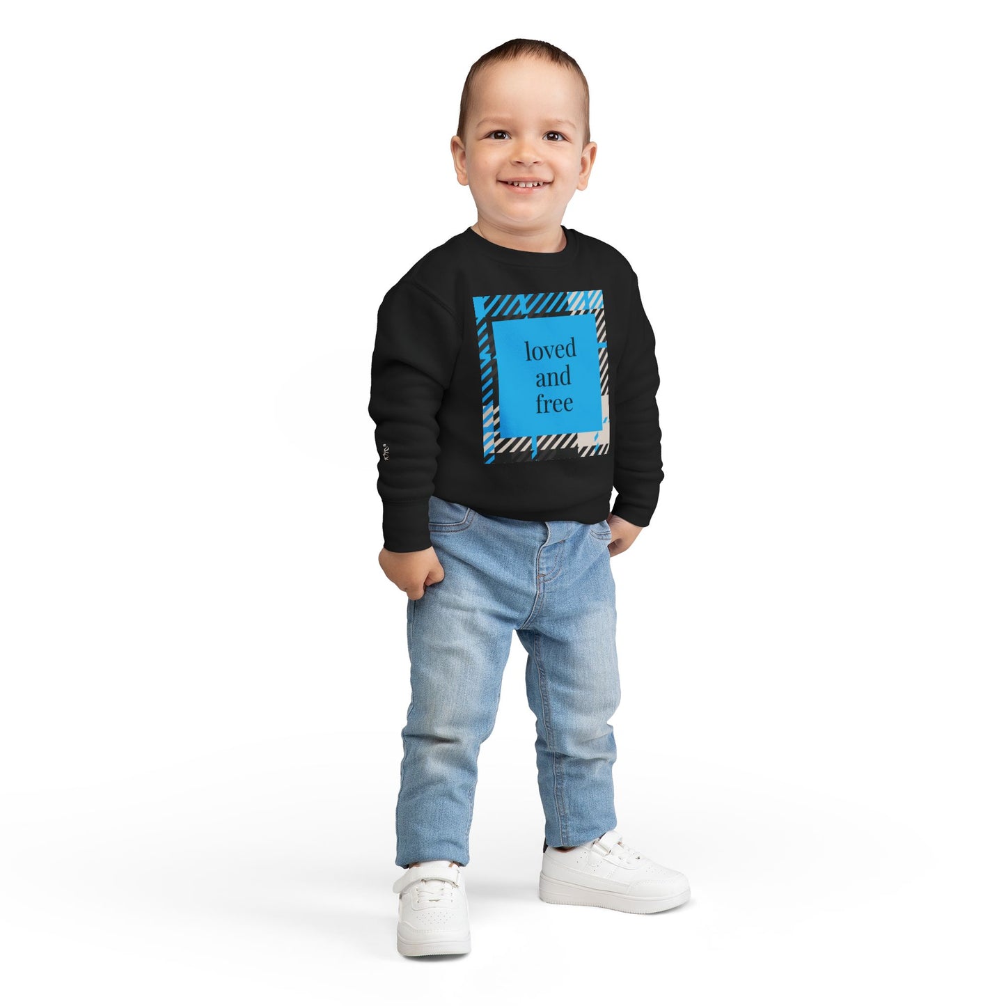 Frozen Echo Toddler Sweatshirt – Loved and Free