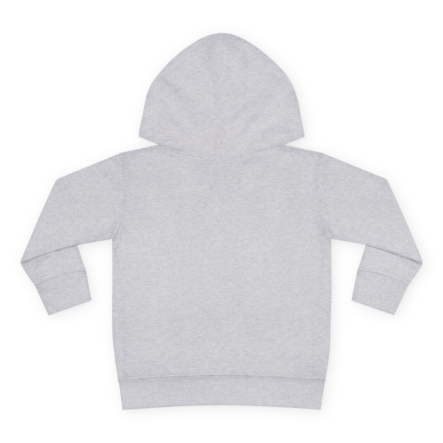 “Little Light, Big Shine” Luxe Toddler Hoodie