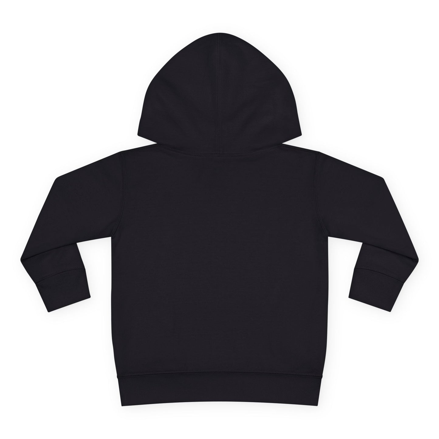 “Little Light, Big Shine” Luxe Toddler Hoodie