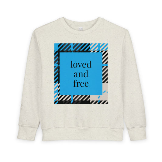 Frozen Echo Toddler Sweatshirt – Loved and Free