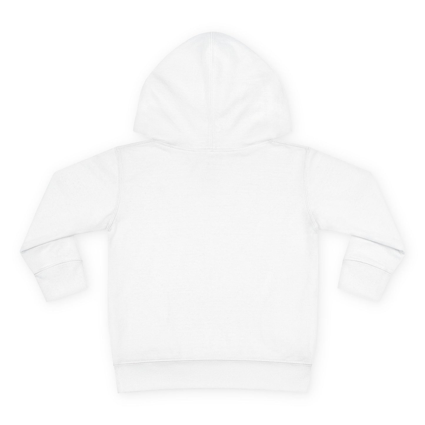 “Little Light, Big Shine” Luxe Toddler Hoodie