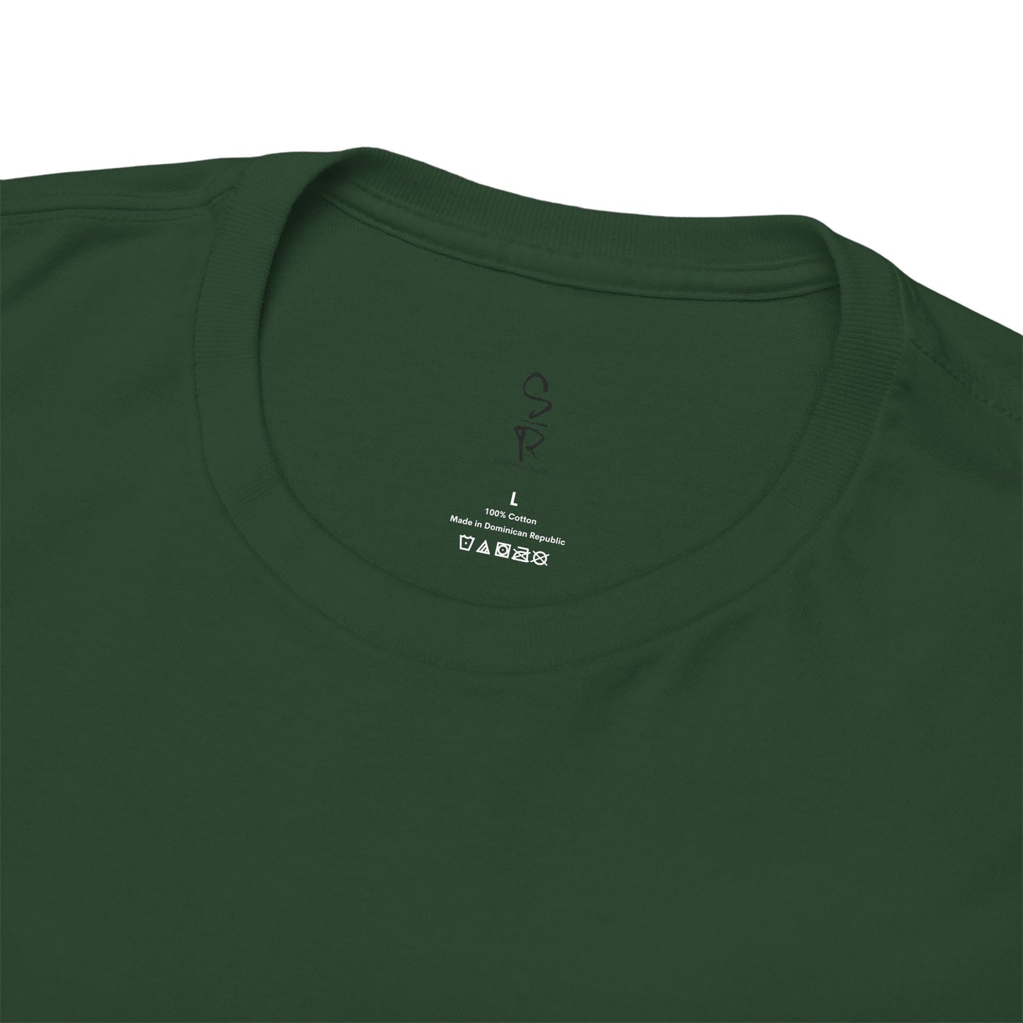 All You Need Is Jesus Tee – Simple. True. Eternal.