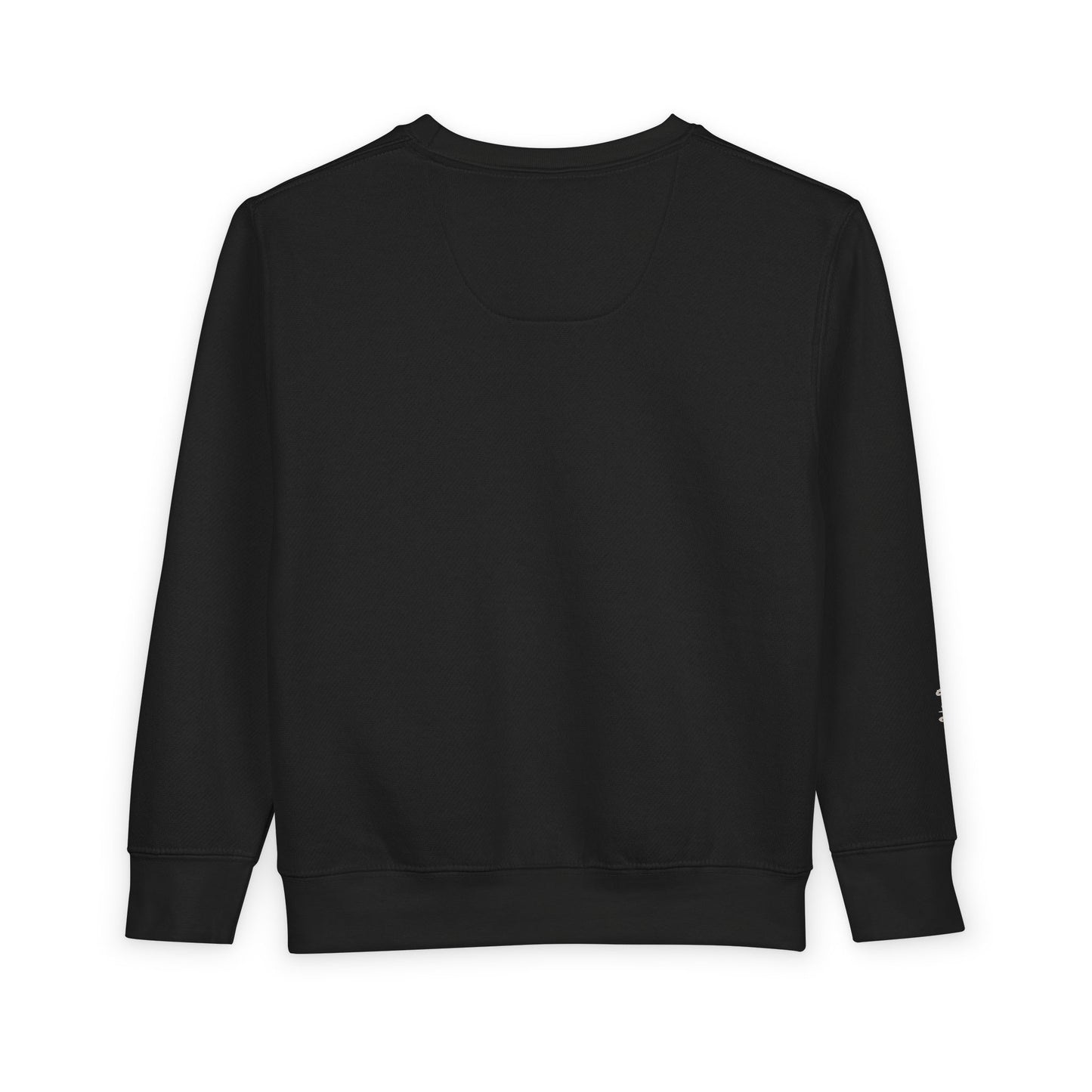 Frozen Echo Toddler Sweatshirt – Loved and Free