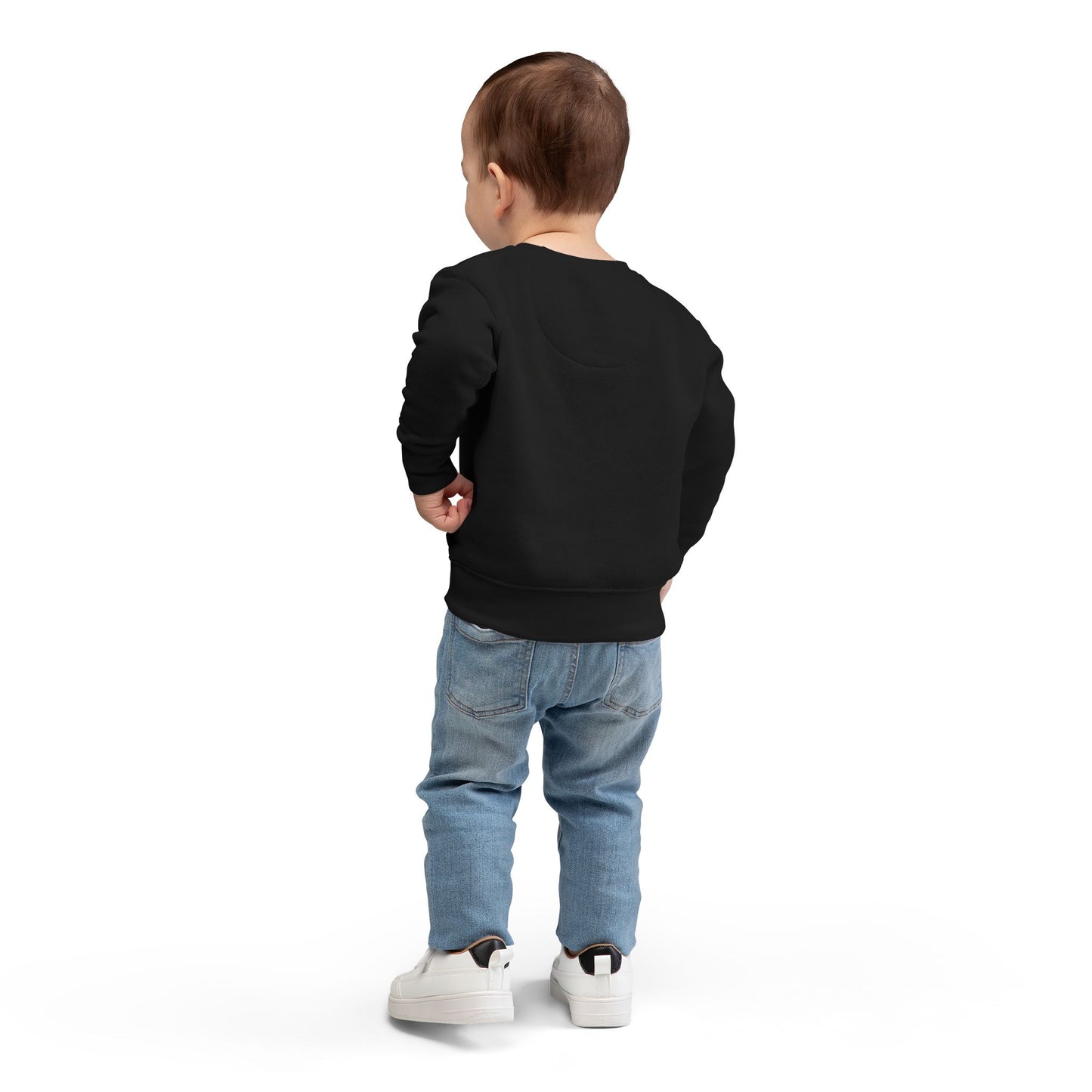 Frozen Echo Toddler Sweatshirt – Loved and Free