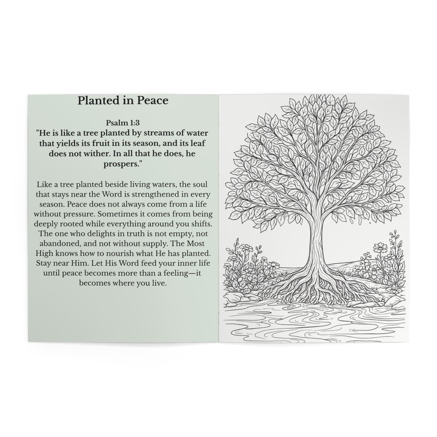 Bloom in Peace: A Psalms Devotional Coloring Book