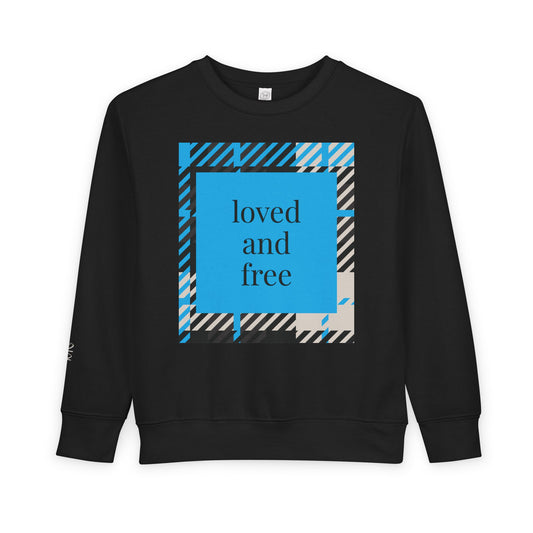 Frozen Echo Toddler Sweatshirt – Loved and Free